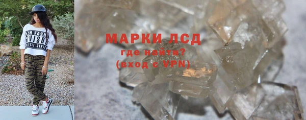 трава Аркадак